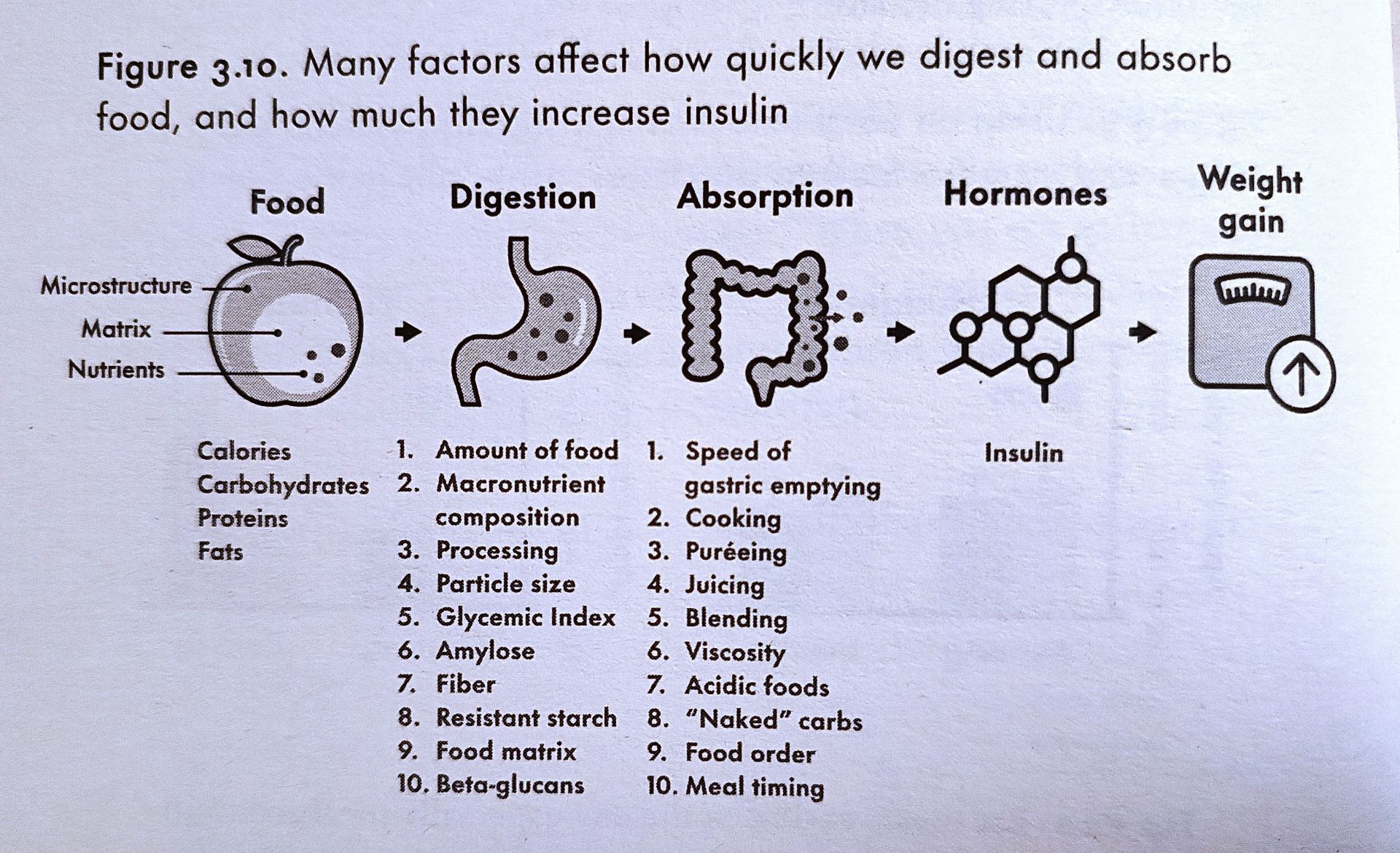 Hunger Code faktory hladiny inzulinu