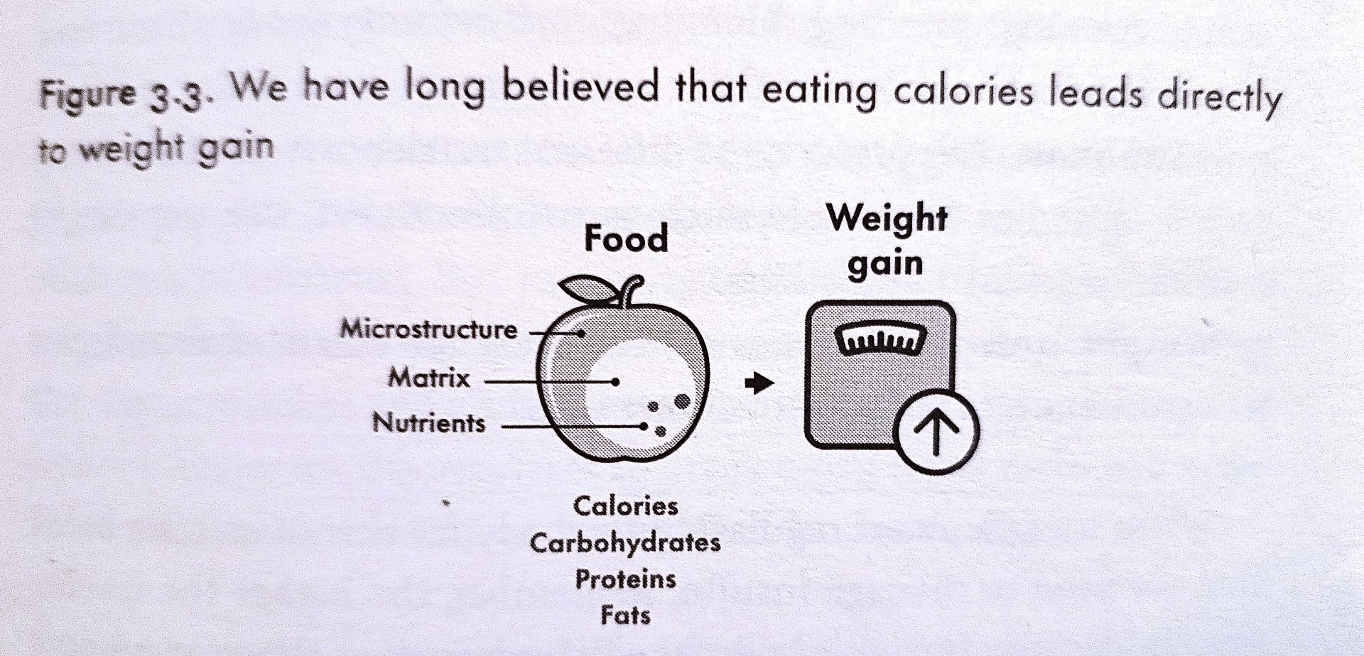Hunger Code kalorie a přibírání