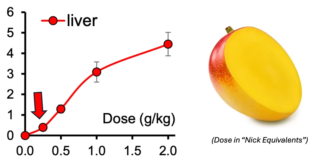 Graf s červenou křivkou pro játra podle dávky v g/kg; vedle rozkrojené mango.