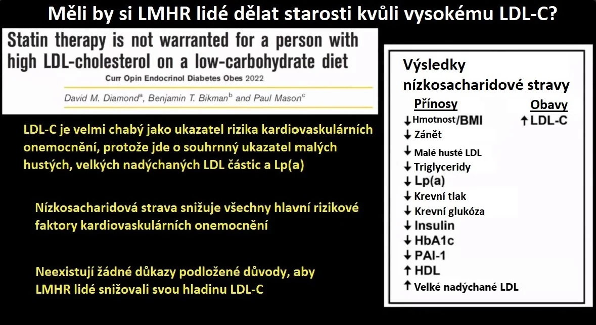 Snímek prezentace o LDL u LMHR s přehledem uváděných změn rizikových ukazatelů při nízkosacharidové stravě.