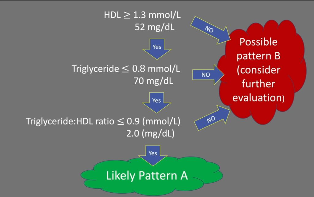 Poměr TG/HDL jako ukazatel rizika kardiovaskulárních onemocnění