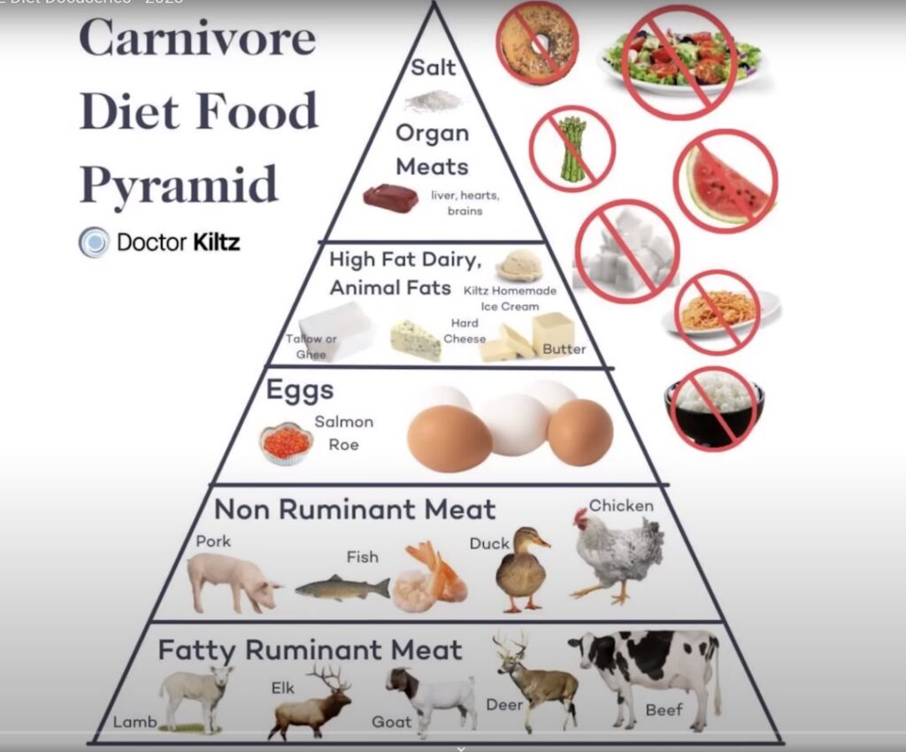 Reversed: carnivore potravinová pyramida Dr. Kiltze