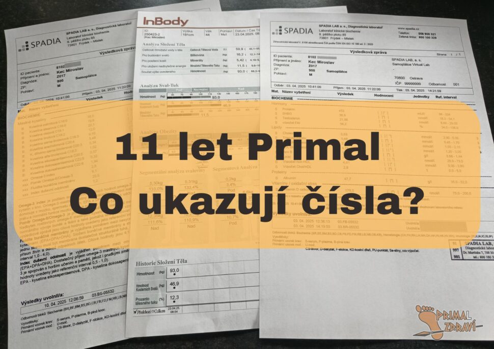 11 let primal čísla
