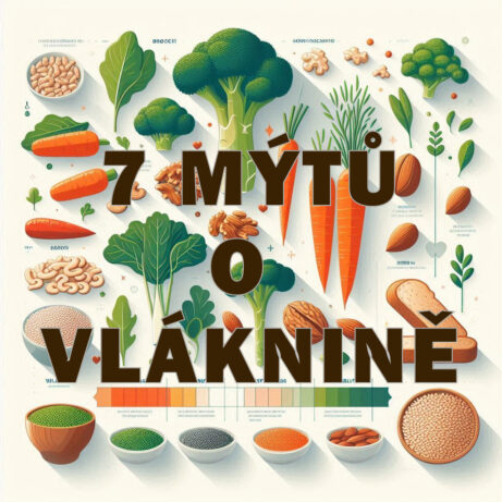 Ý MÝTŮ O&nbsp;VLÁKNINĚ